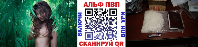Alfa_PVP СК Учалы