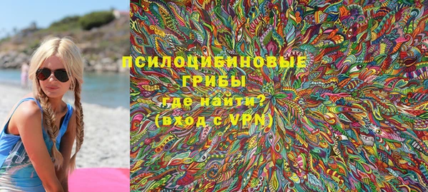 ГАЛЛЮЦИНОГЕННЫЕ ГРИБЫ Армянск