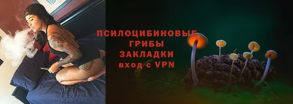 ГАЛЛЮЦИНОГЕННЫЕ ГРИБЫ Армянск